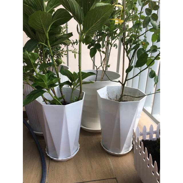 Combo 3 Chậu nhựa kim cương size 40x30cm loại 1 kèm dĩa lót chậu