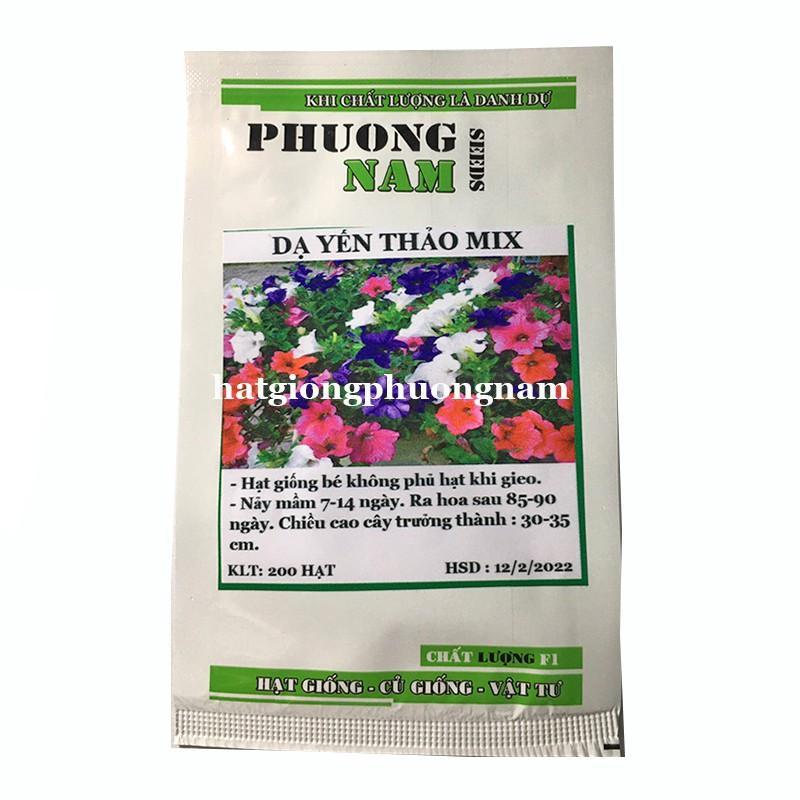 Hạt giống hoa dạ yến thảo mix 200 hạt
