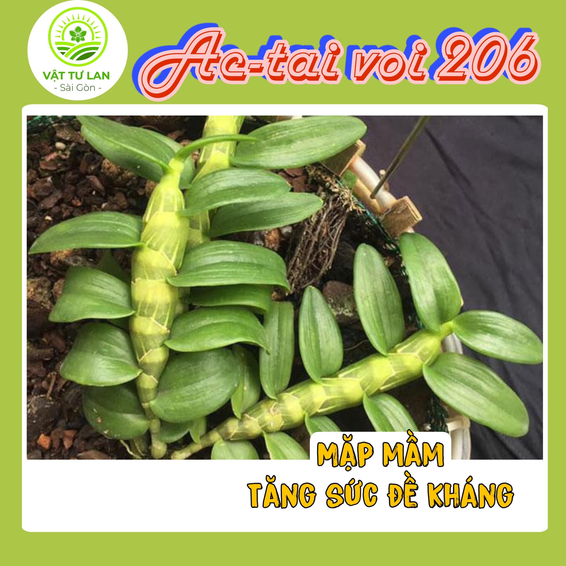 Phân Bón Vi Lượng AC-TAI VOI 206
