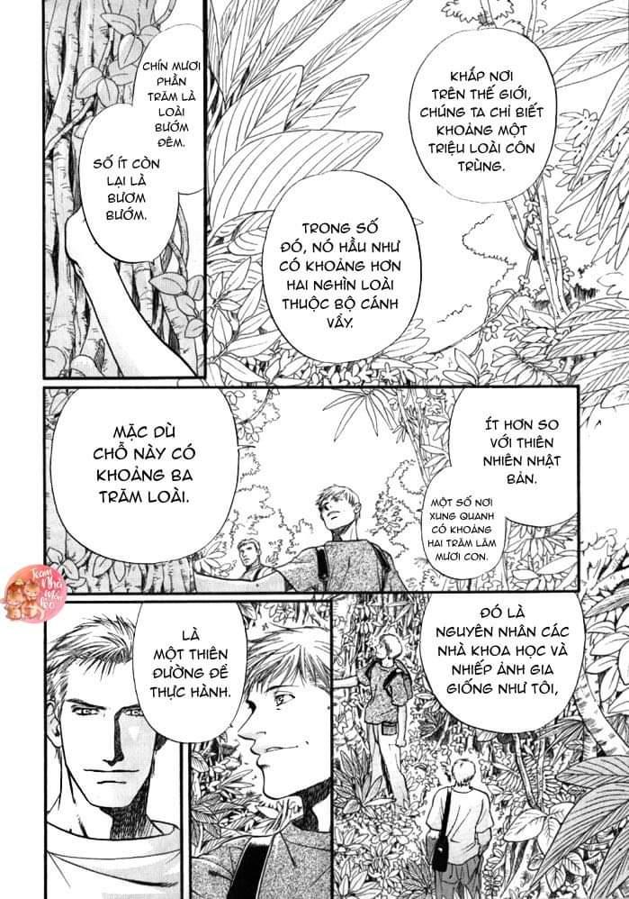 oneshot bl từ nhiều tác giả - mlèo dịch chapter 122 9