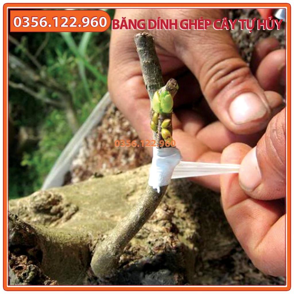 Băng dính ghép cây tự hủy - khổ 8 cm -Chuyên dùng trong ghép cành, tỉa cành, tạo dáng