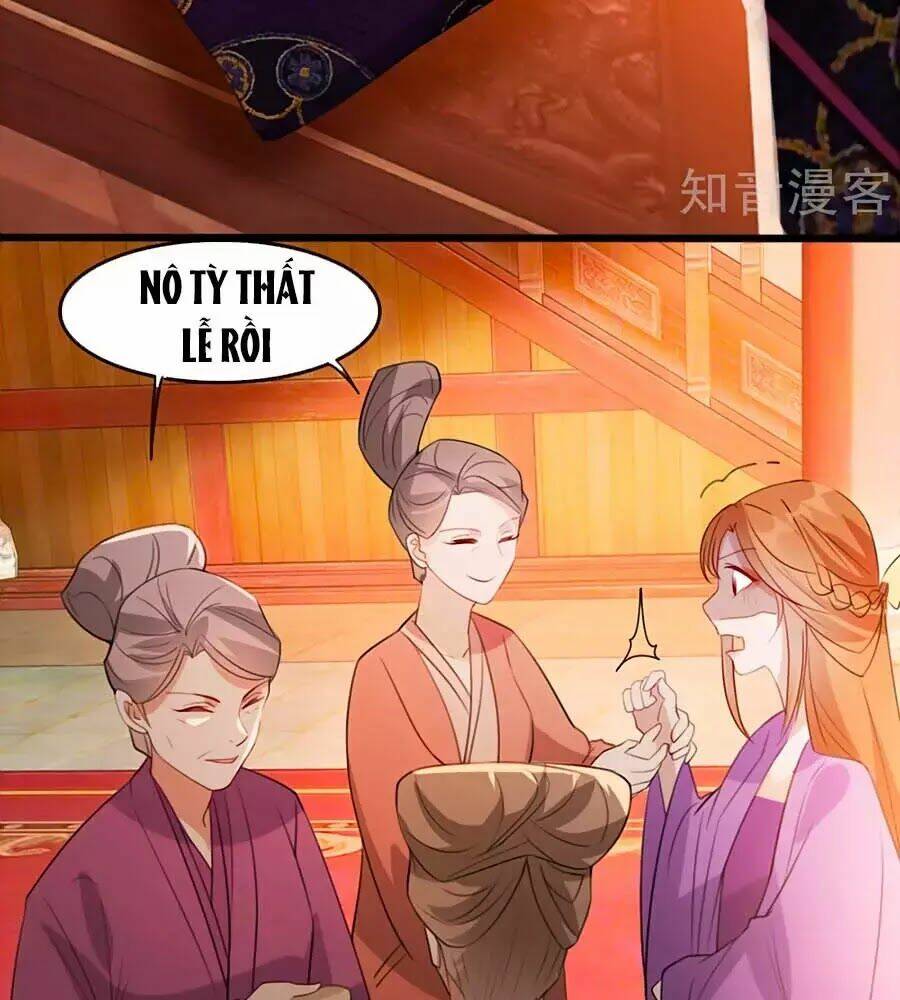 gian phi như thử đa kiều chapter 53 66