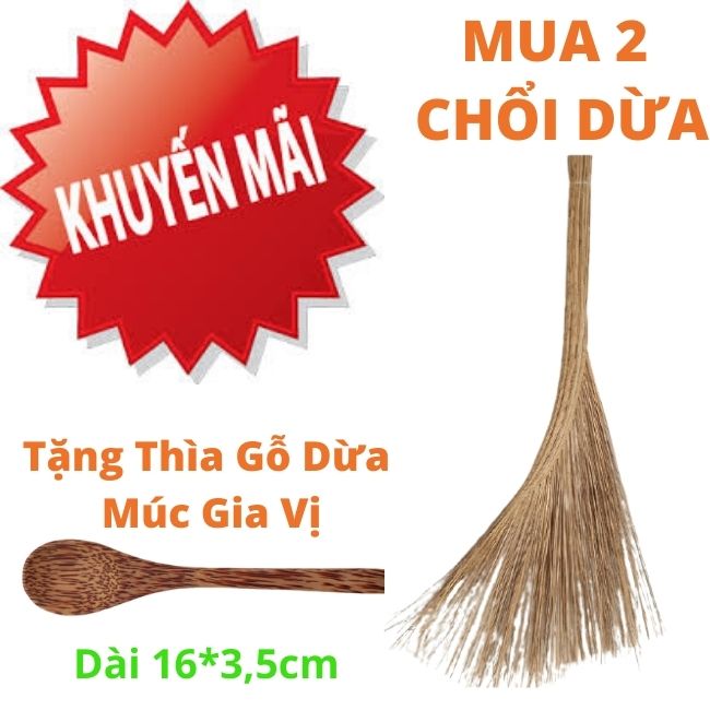 Chổi Dừa - 01