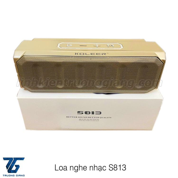 LOA NGHE NHẠC S813