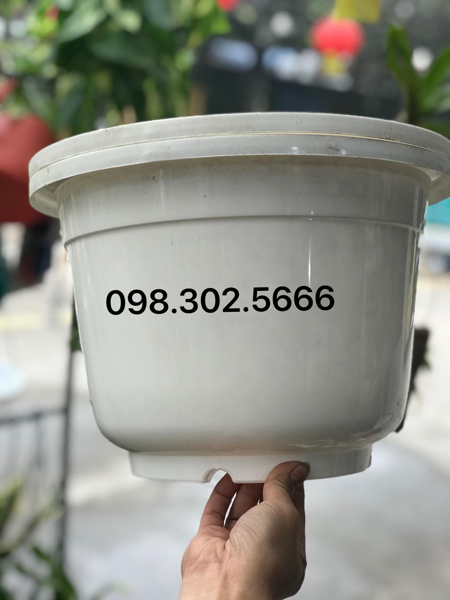 Bộ 5 chậu nhựa trắng trơn trồng hoa, cây cảnh 360x350 loại 1- kích thước 30x20cm