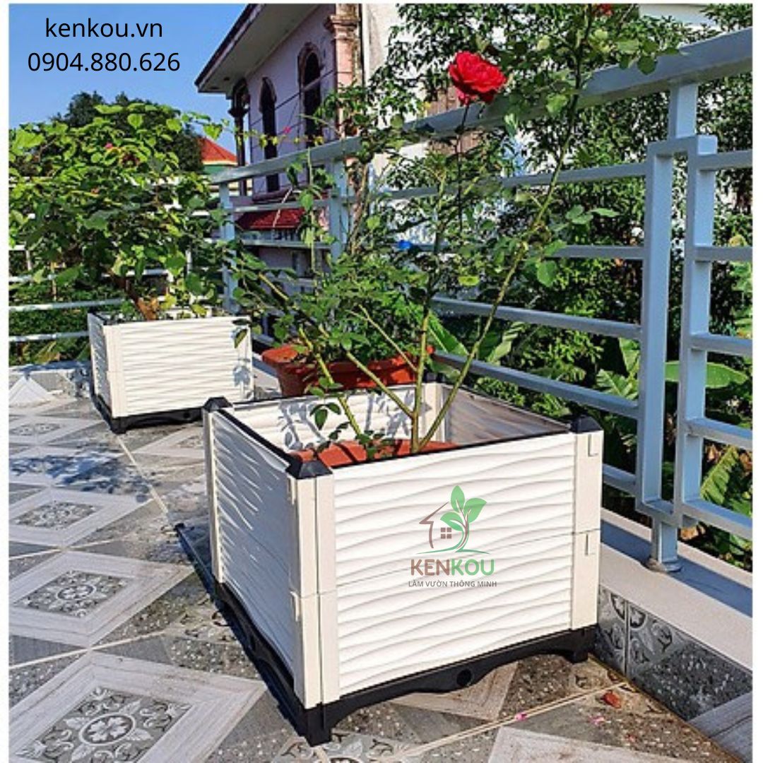 Chậu ghép trồng cây L150 x W50 x H38 Chậu thông minh Việt Nam trồng rau, hoa, cây cảnh tại nhà