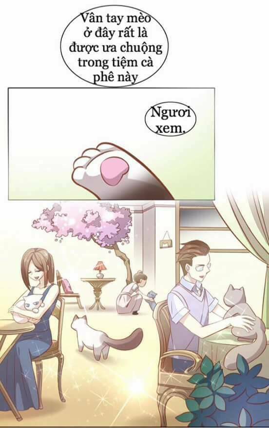 dưới móng vuốt mèo chapter 8 29