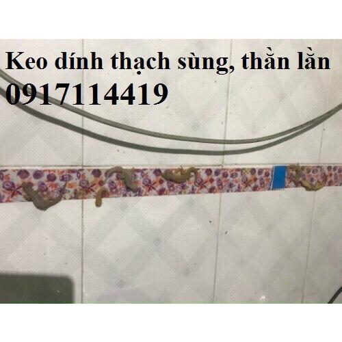 1 Miếng keo dính thằn lằn/thạch sùng , bắt ruồi đa năng Hàn Quốc.