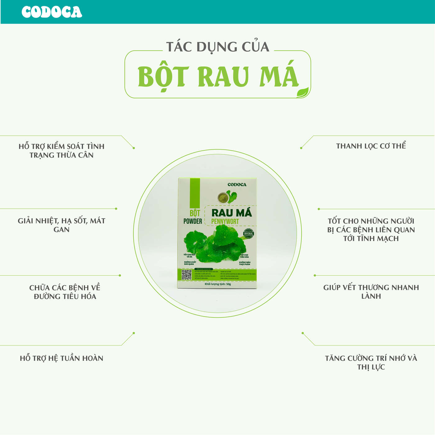 Bột Rau má Codoca nguyên chất Sấy lạnh Giải nhiệt, mát gan, thanh lọc cơ thể