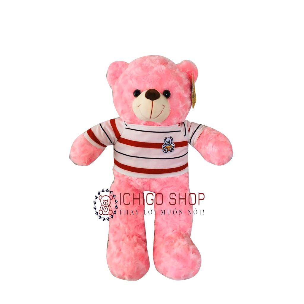 GẤU BÔNG TEDDY Cao Cấp Size 50Cm màu hồng ĐẢM BẢO 100% GÒN