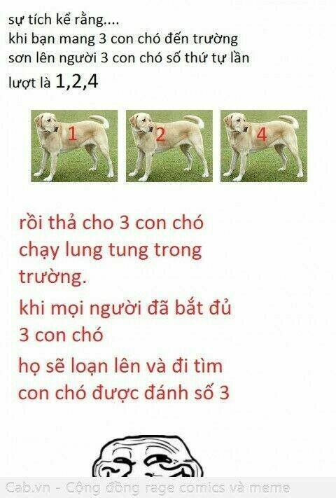 rage comic-troll chapter 78 17