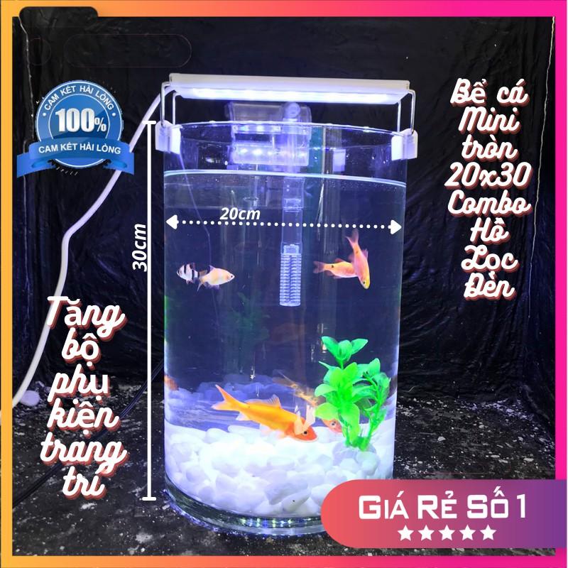 Bể cá mini để bàn tròn D20H30 COMBO Hồ Lọc Đèn kèm phụ kiện tiểu cảnh