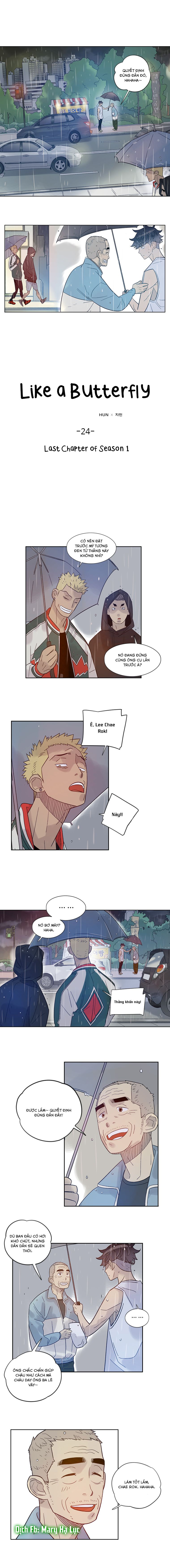 tôi muốn bay như một con bướm chapter 24 1