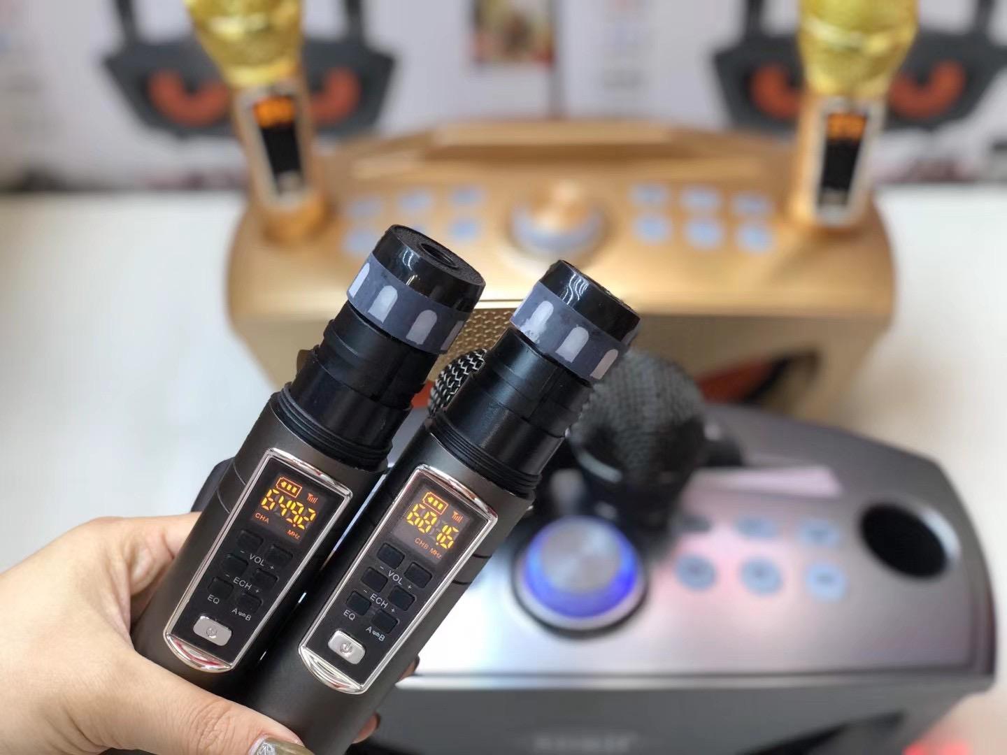30W Cú Card Âm Thanh Boombox Có Micro Không Dây Ngoài Trời Loa Bluetooth Di Động Tất Cả Trong Một Kép Karaoke KTV Nhà Color: SD306plus Gold