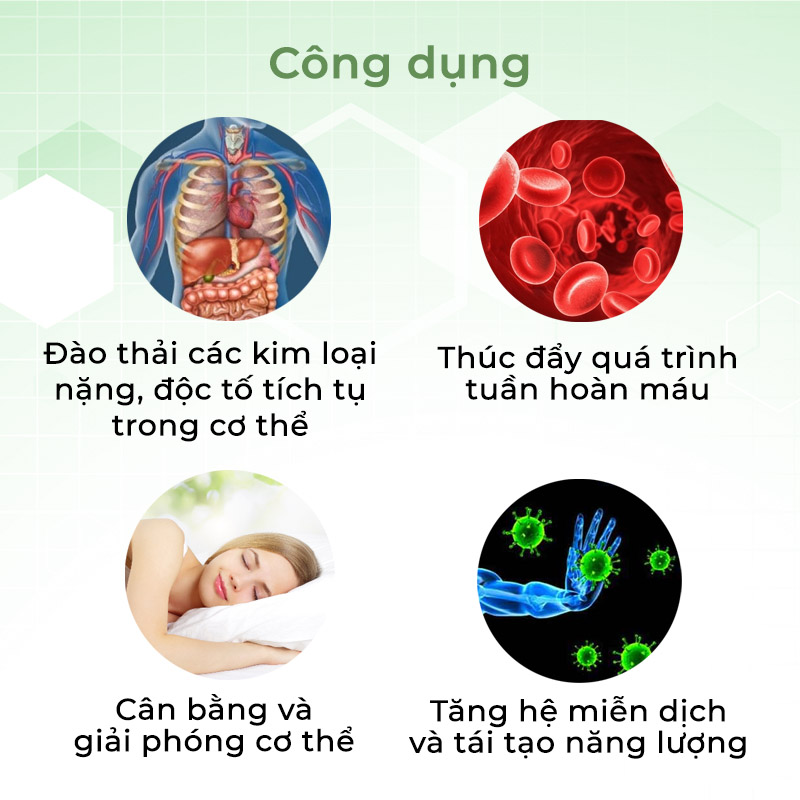 Cao Dán Thải Độc - ATZ Healthy Life - Eucalyptus - Tái Tạo Năng Lượng, Thoát Khỏi Trạng Thái Ngủ Li Bì Uể Oải