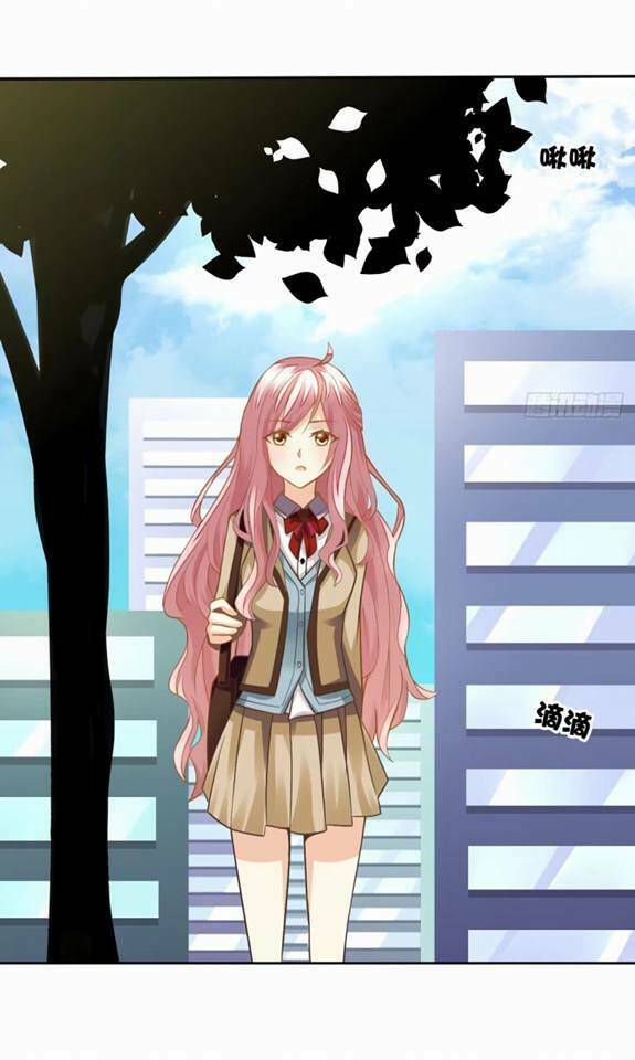 vật nuôi đáng yêu : mèo cỏ của tôi chapter 1.5 34