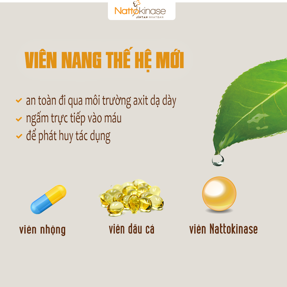Nattokinase Jintan Nhật Bản chống đột quỵ, tai biến, mỡ máu