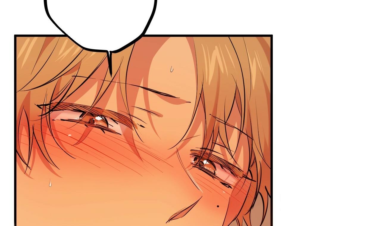 đàn thỏ của habibi chapter 25 76