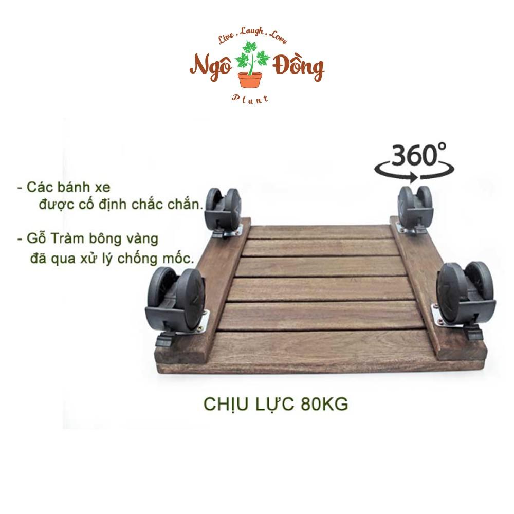 4 Đế Gỗ Tràm Hình Vuông Màu Đen Nhạt Lót Chậu Cây Có Bánh Xe Khóa An Toàn Chịu Lực Lên Đến 80kg R30cm