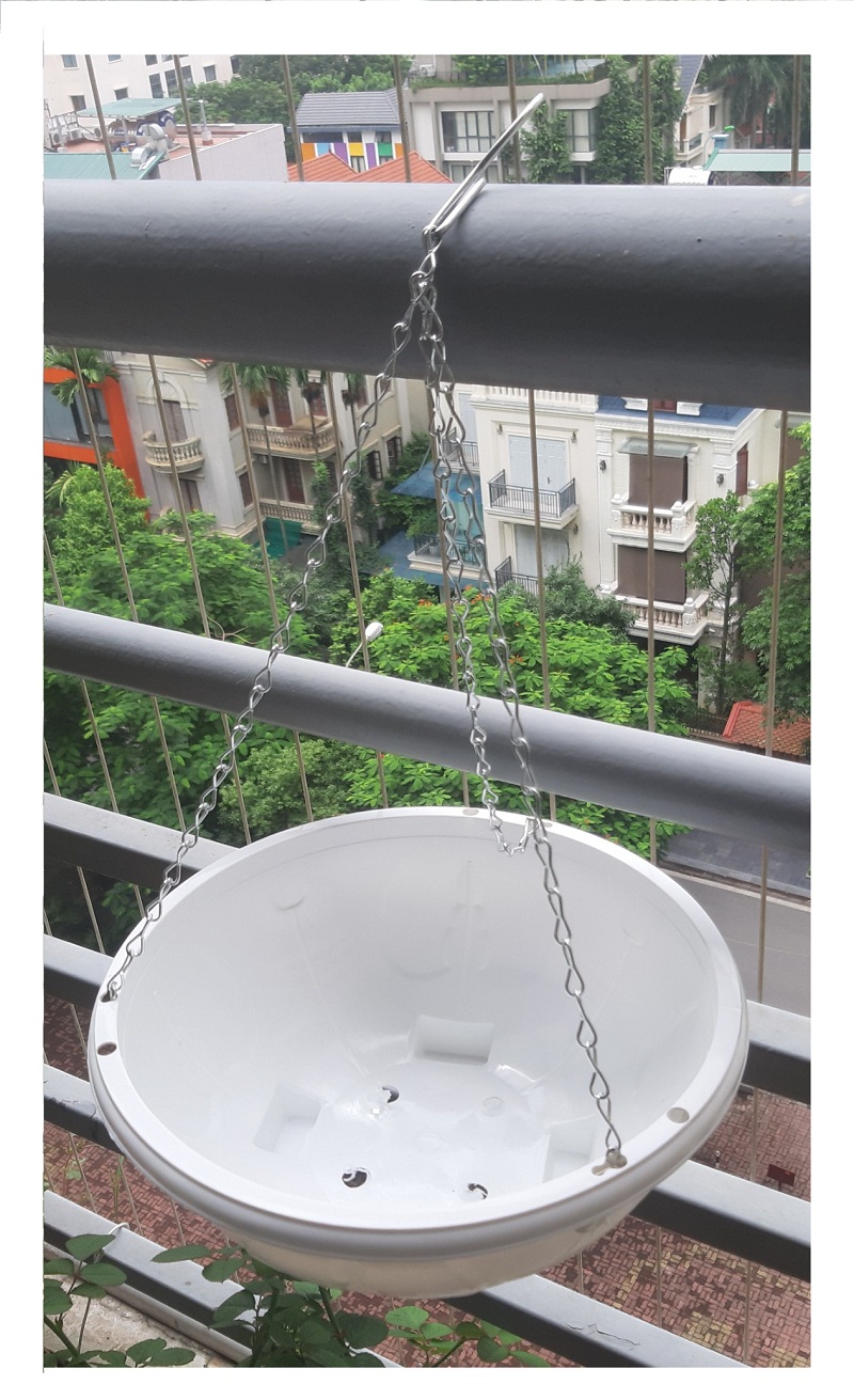 1 Chậu Nhựa Tròn Trồng Hoa Màu Trắng Có Móc Treo - Chậu chảo treo trồng hoa có móc xích kèm theo! KT: 29x12cm