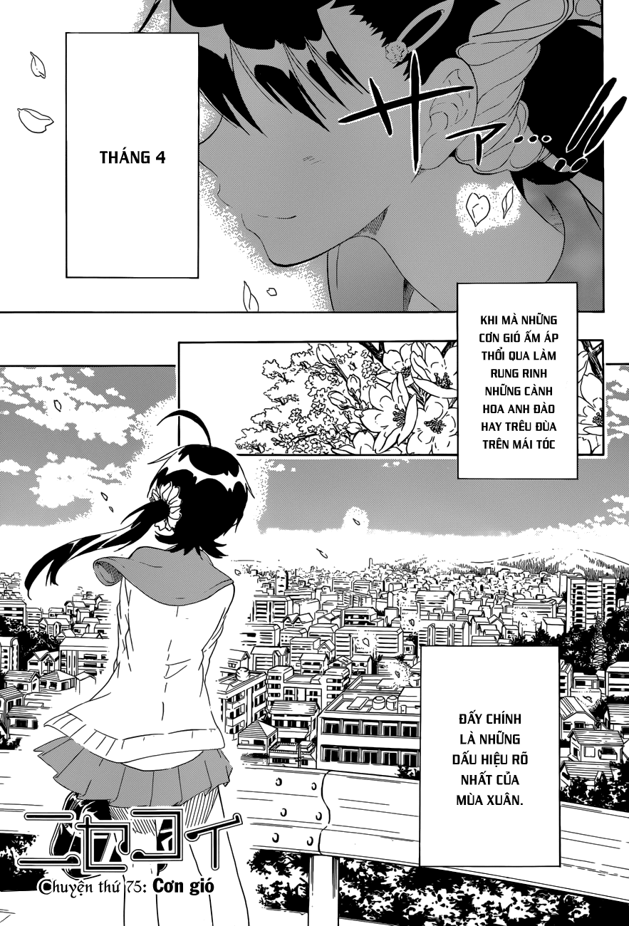 nisekoi - tình yêu giả tạo chapter 75 2