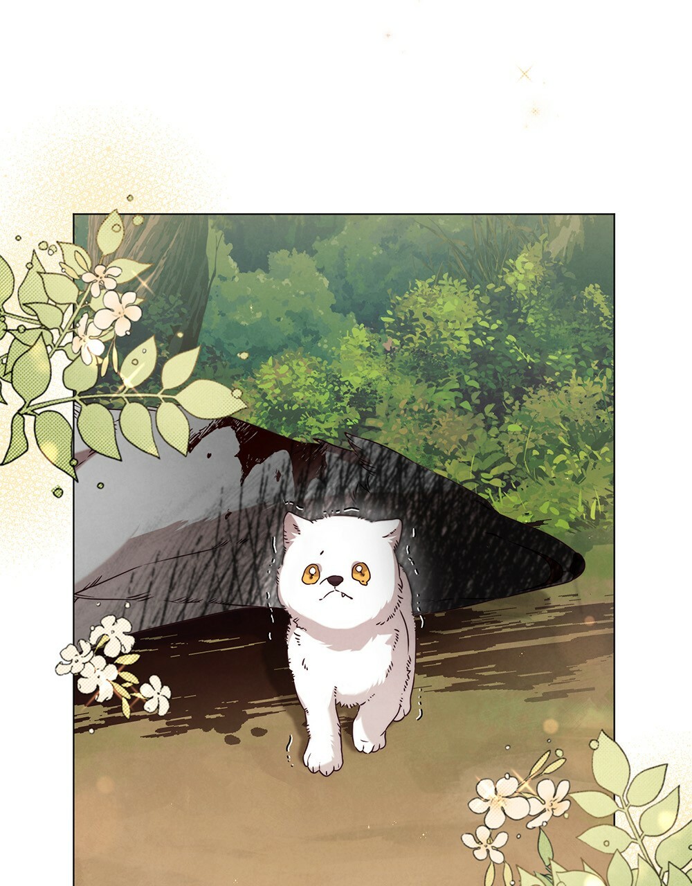 ánh sáng của bình minh chapter 5 51