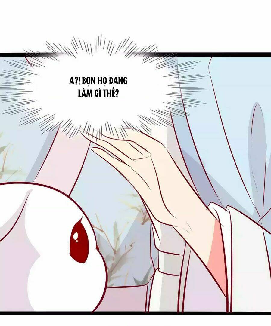 thỏ yêu tiểu vương phi chapter 78 17