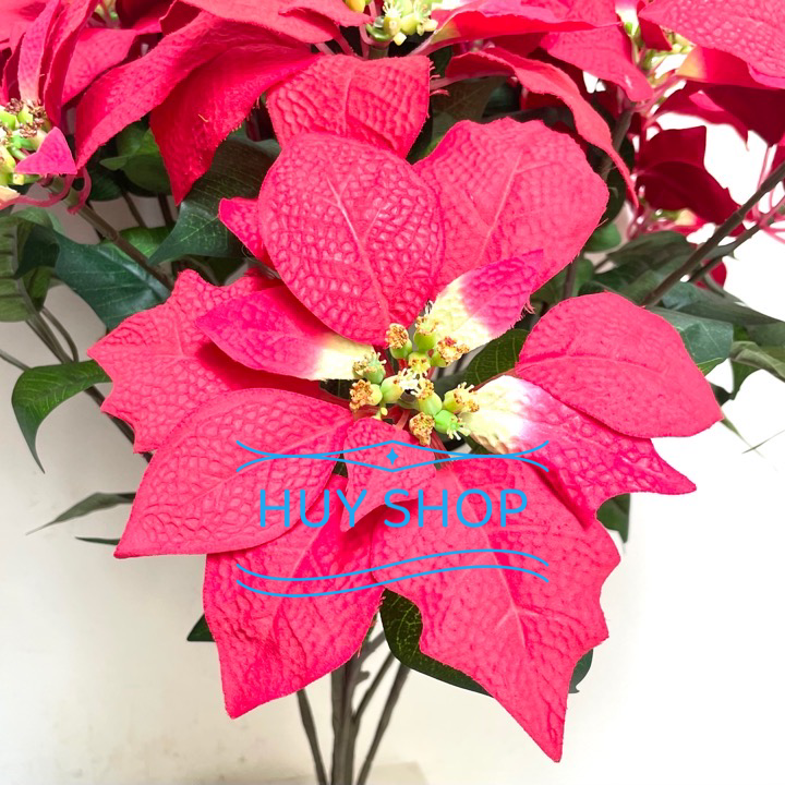 BỤI HOA TRẠNG NGUYÊN VẢI NHUNG CAO CẤP 21 NHÁNH