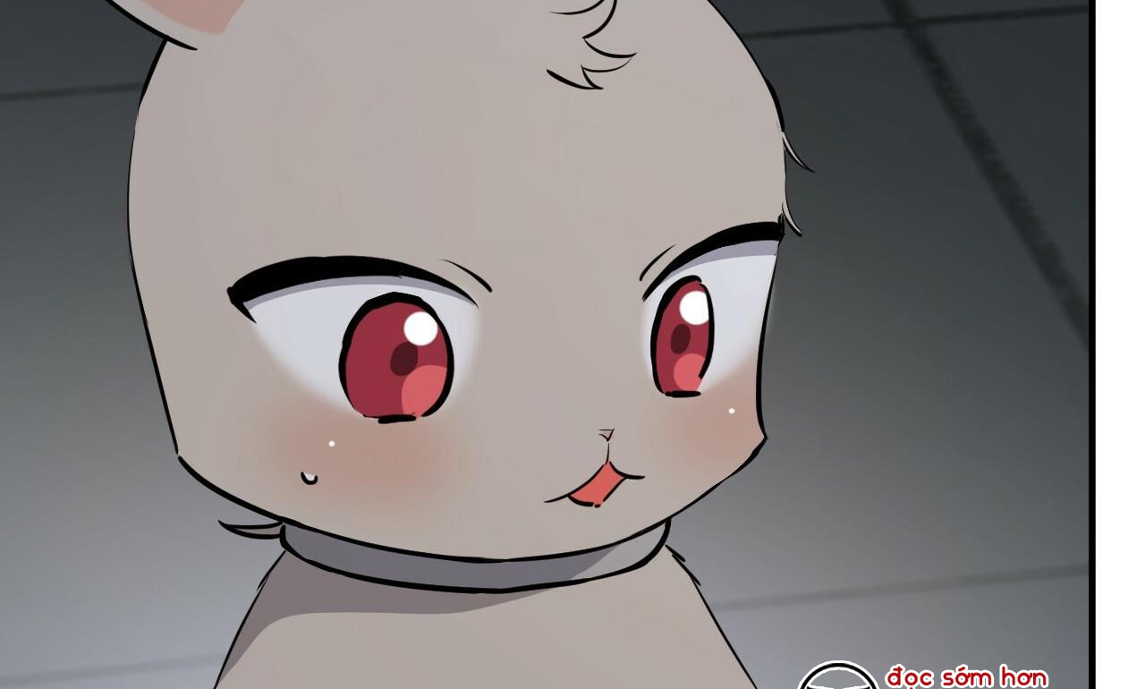 đàn thỏ của habibi chapter 47 3