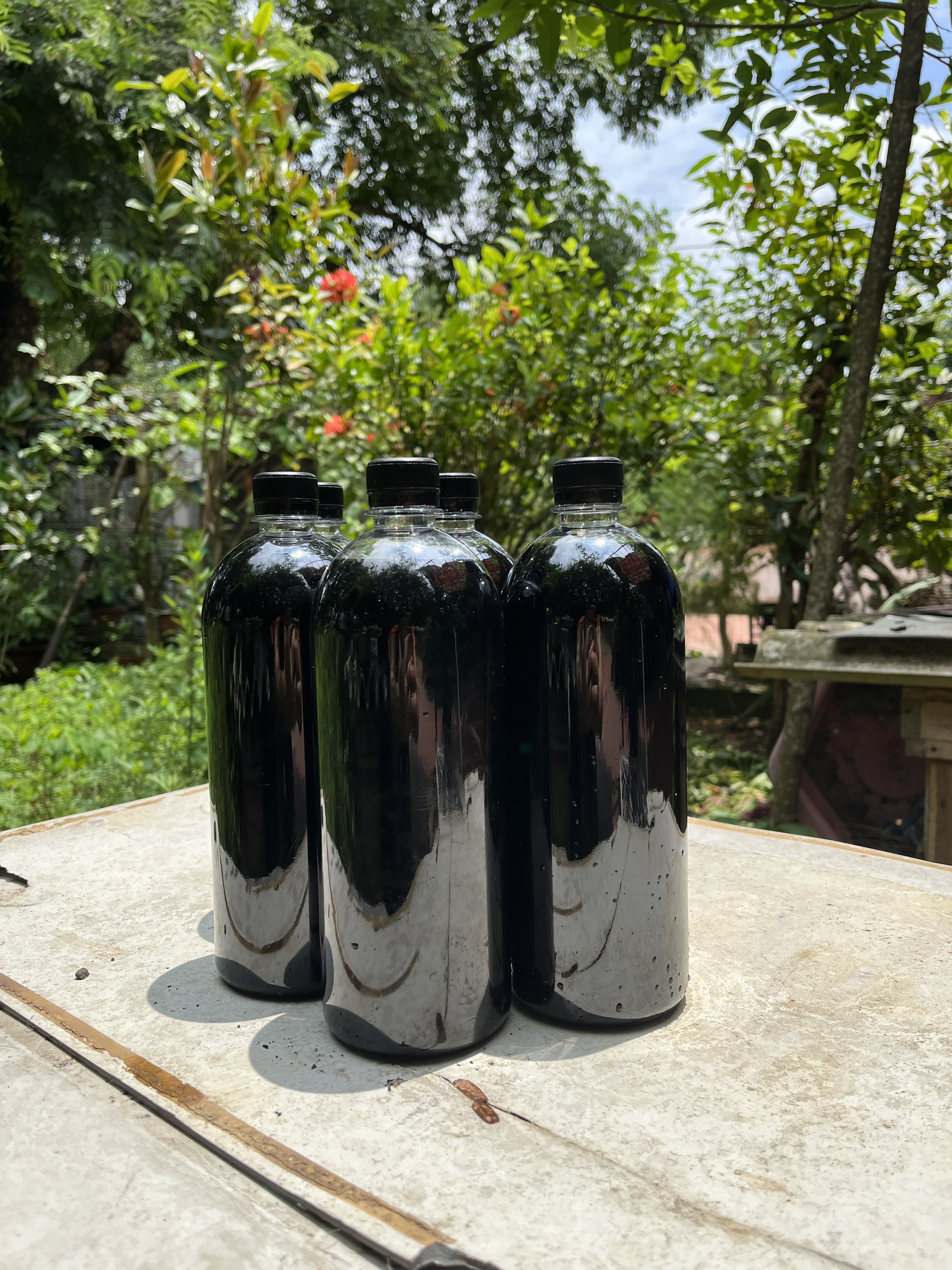 Tửu cốt ba kích tím Đông Y Nghi Anh chai 1L bổ thận tráng dương mạnh gân cốt tốt cho tiêu hóa ăn ngon miệng ngủ sâu giấc