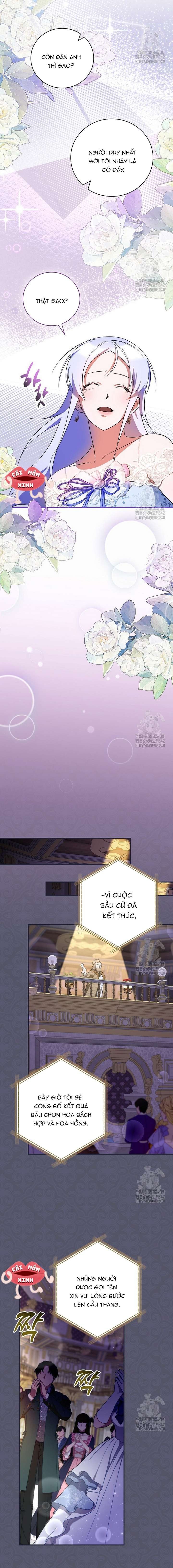 đi tìm nàng công chúa bỏ trốn chapter 11 9