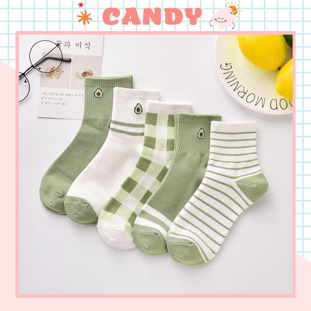 Tất nữ vớ nữ cổ trung, Set 5 đôi tất nữ phong cách Hàn Quốc, co dãn 4 chiều, chất liệu cotton Hàn cao cấp TN-206