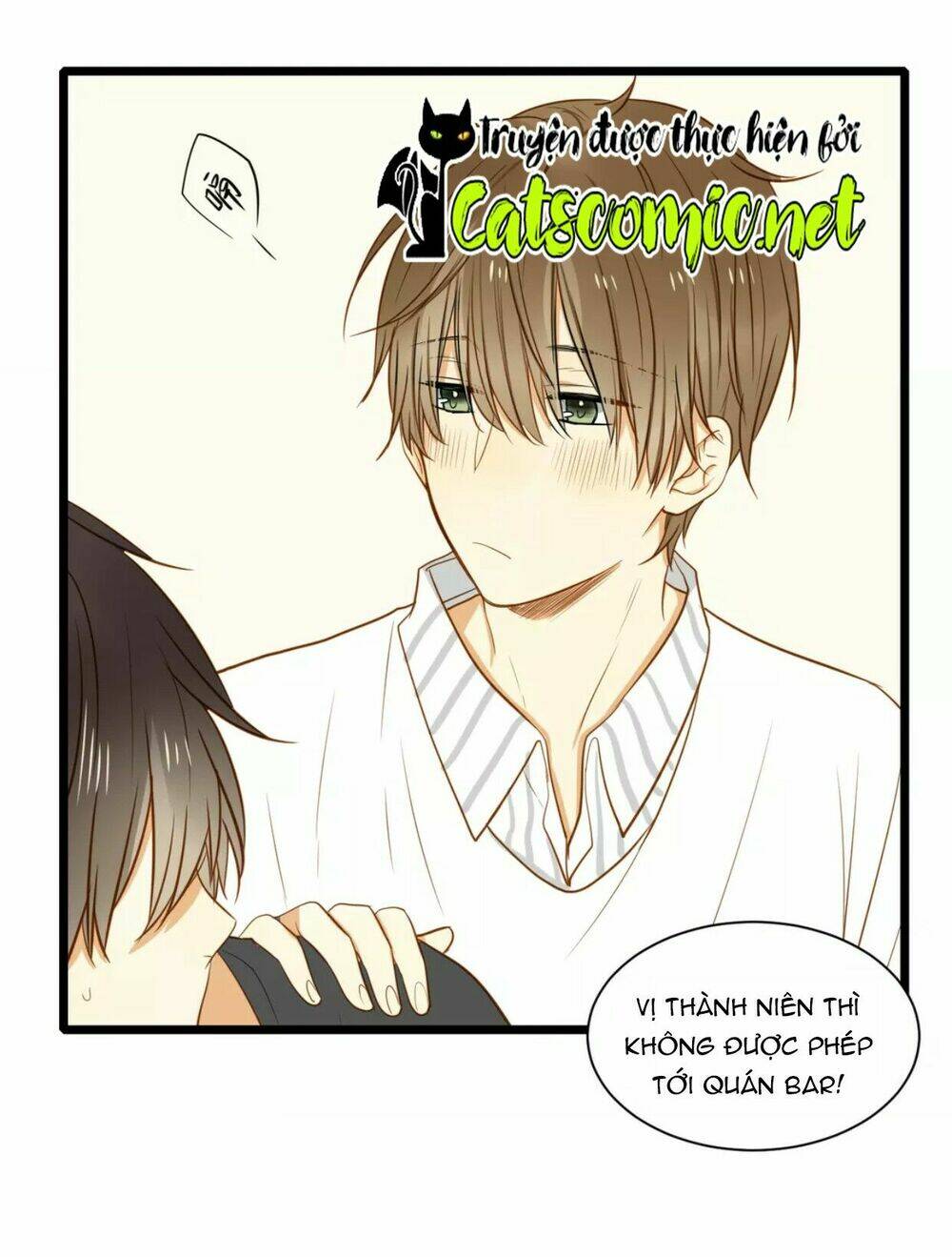 điều giáo quan hệ chapter 19 28