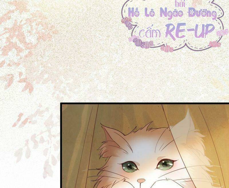 sát thủ vương phi không dễ chọc chapter 32 47