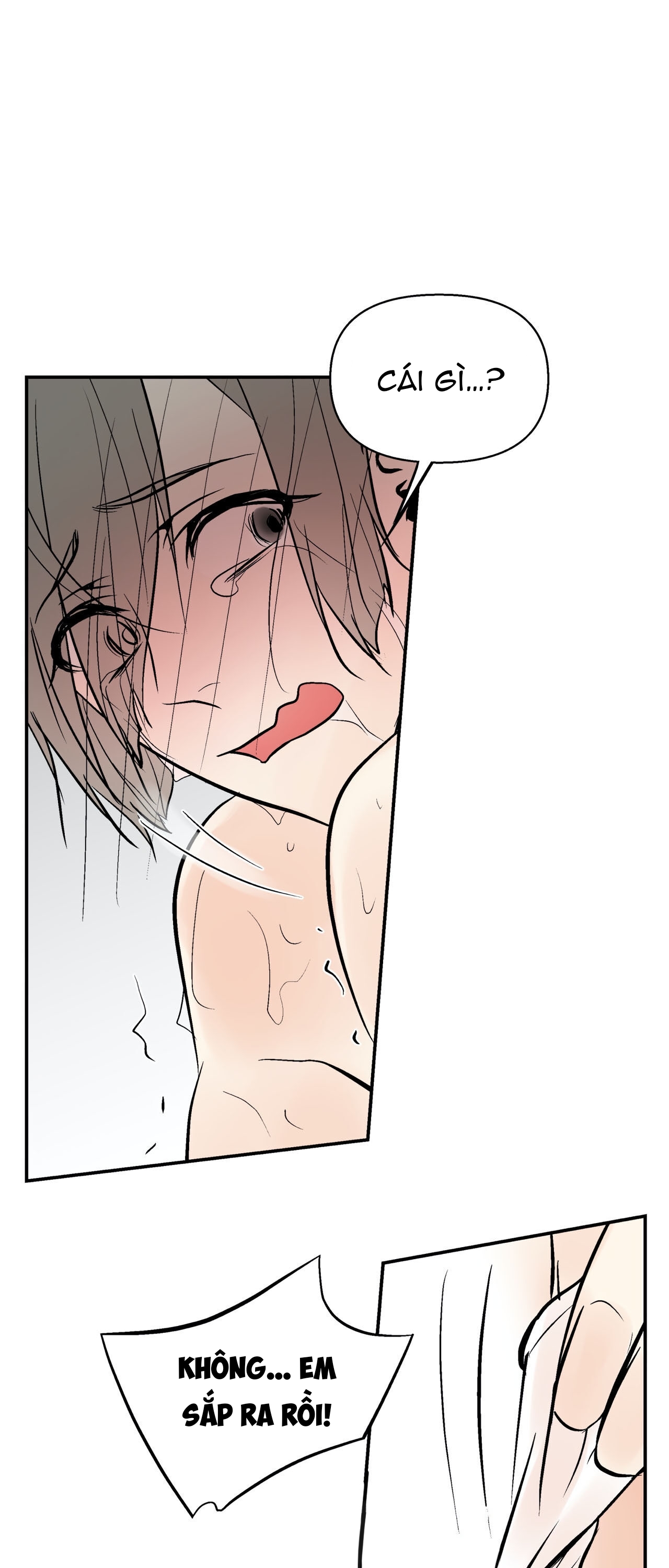 trú ẩn - haven chapter 16 22