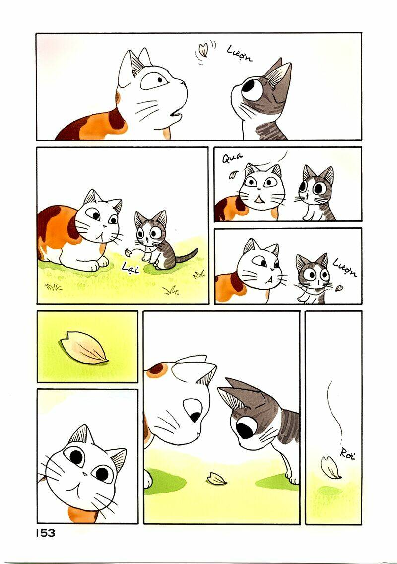 chi's sweet home chapter 38 16