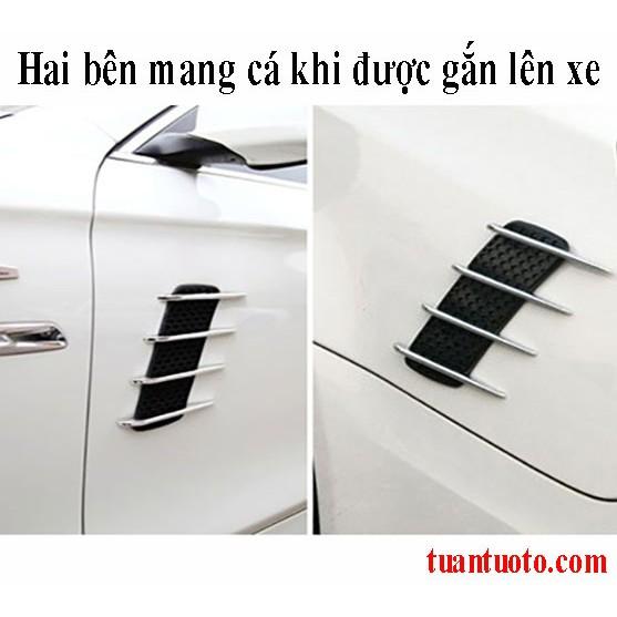 Cặp mang cá trang trí ô tô
