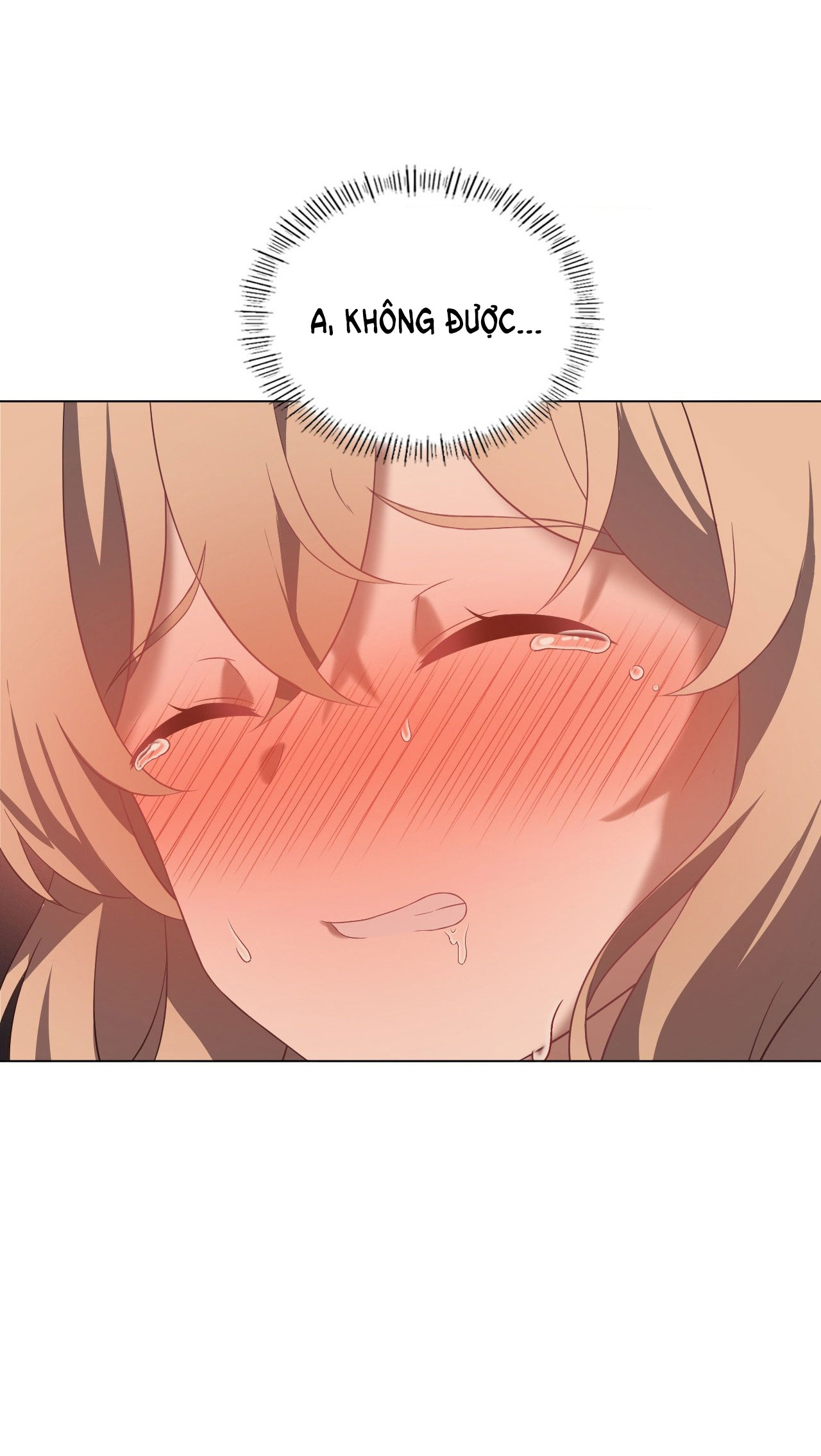 [18+] thăng cấp đến khi hài lòng chapter 33.1 15