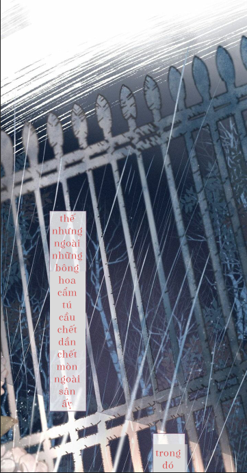 nỗi buồn của hoa cẩm tú cầu chapter 37 15