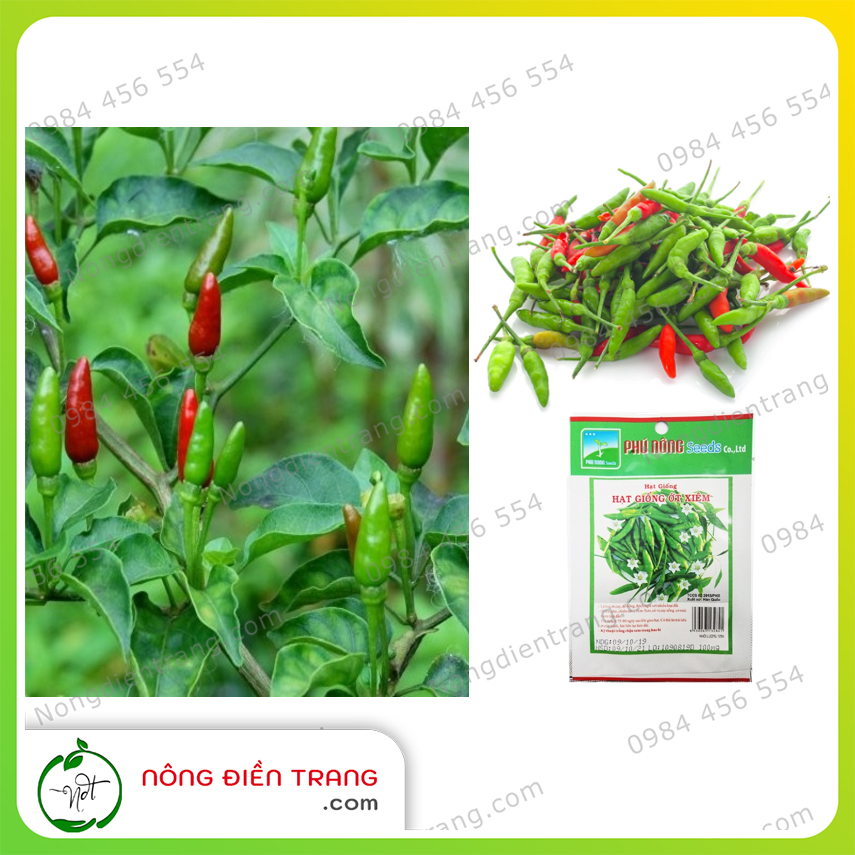 Hạt giống ớt Xiêm (Ớt Hiểm xanh Ớt Chim) Phú Nông - Gói 0.1g - Dễ trồng sai trái sinh trưởng mạnh kháng bệnh tốt VTNN Nông Điền Trang