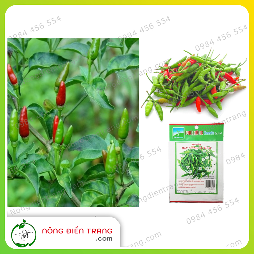 Hạt giống ớt Xiêm Phú Nông - Gói 0.1g - Dễ trồng sai trái sinh trưởng mạnh kháng bệnh tốt VTNN Nông Điền Trang