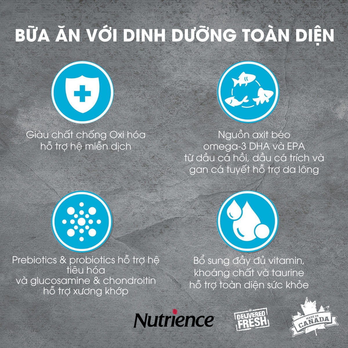 (MỚI) Nutrience Infusion Cá Biển cho Mèo trưởng thành - Cá biển, dầu cá hồi và rau củ quả tự nhiên