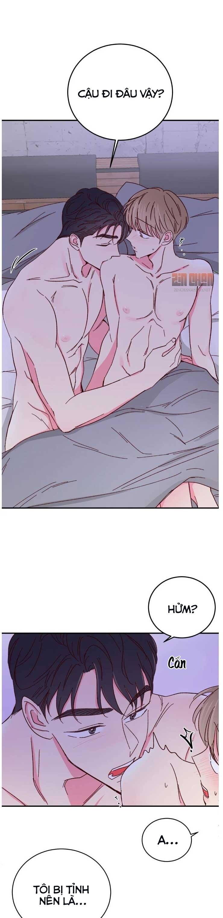 món tráng miệng của sếp tổng chapter 65 7