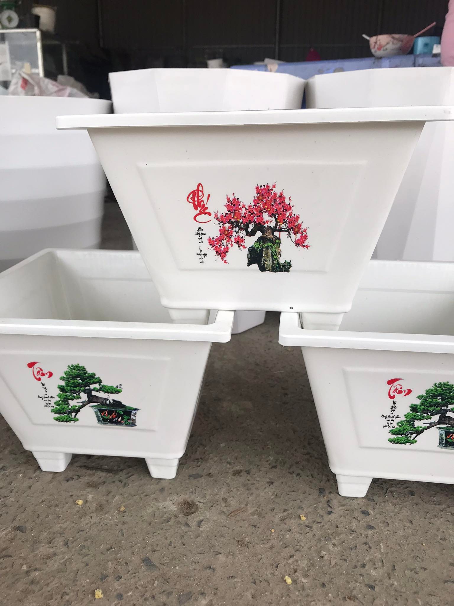 Chậu Nhựa Trồng Hoa Vuông In 250 - Cây Bon Sai - Cây Cảnh