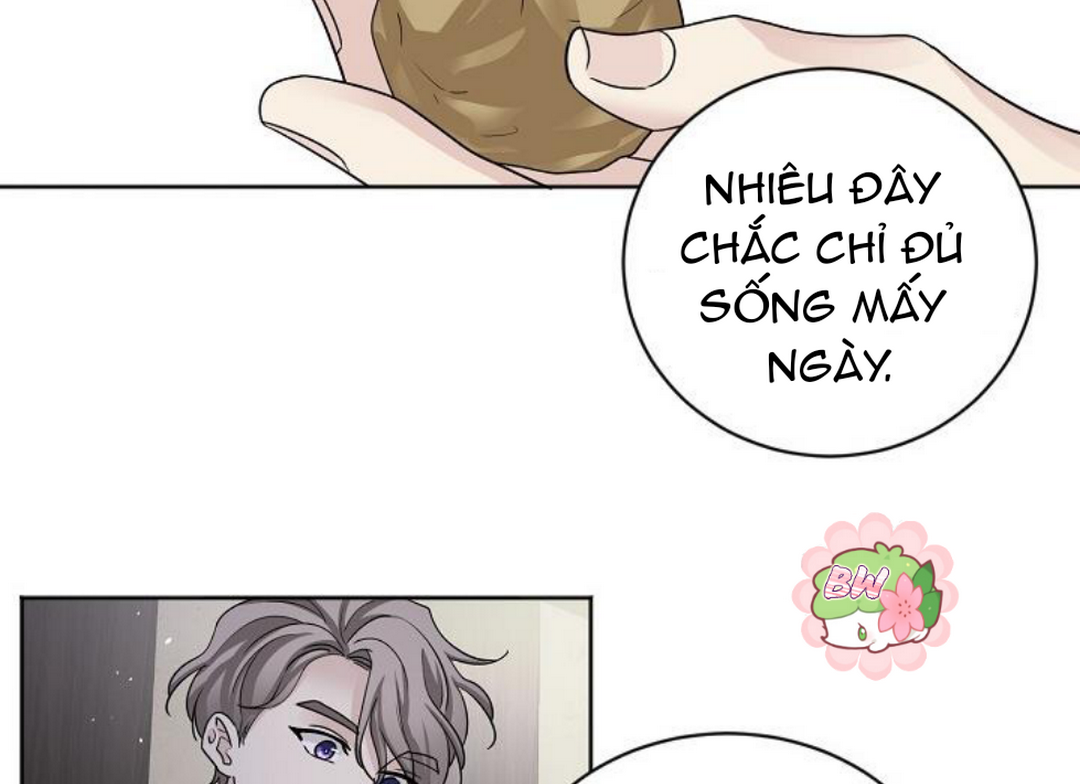 chinh phục quý ngài ma cà rồng chapter 1 74