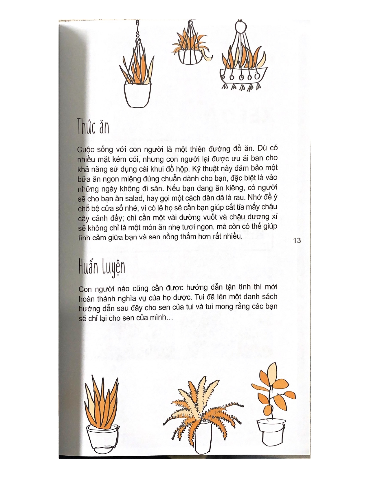 Mèo Con Phiêu Lưu Ký