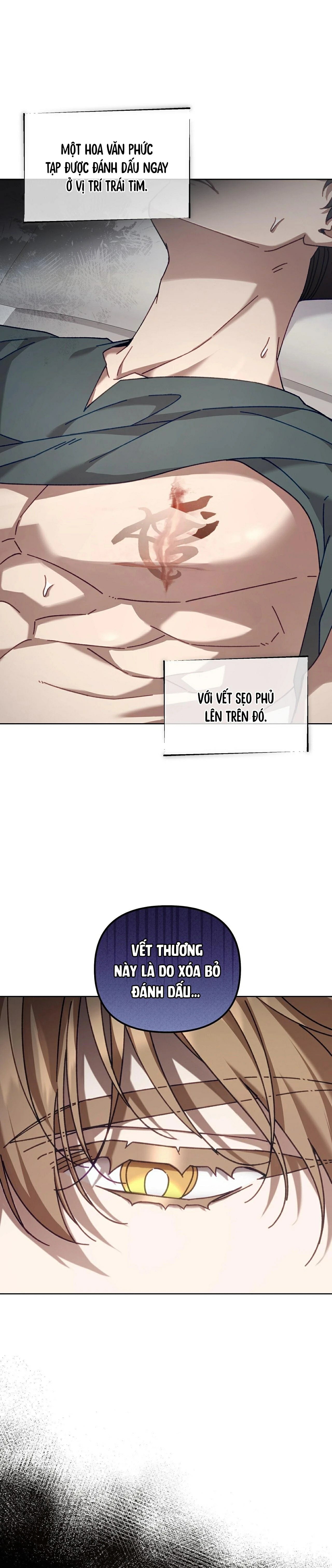 guide cấp s phết mật ong chapter 40 25