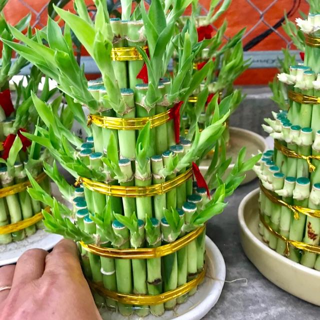 Chậu Trúc Phú Quý 4 tầng