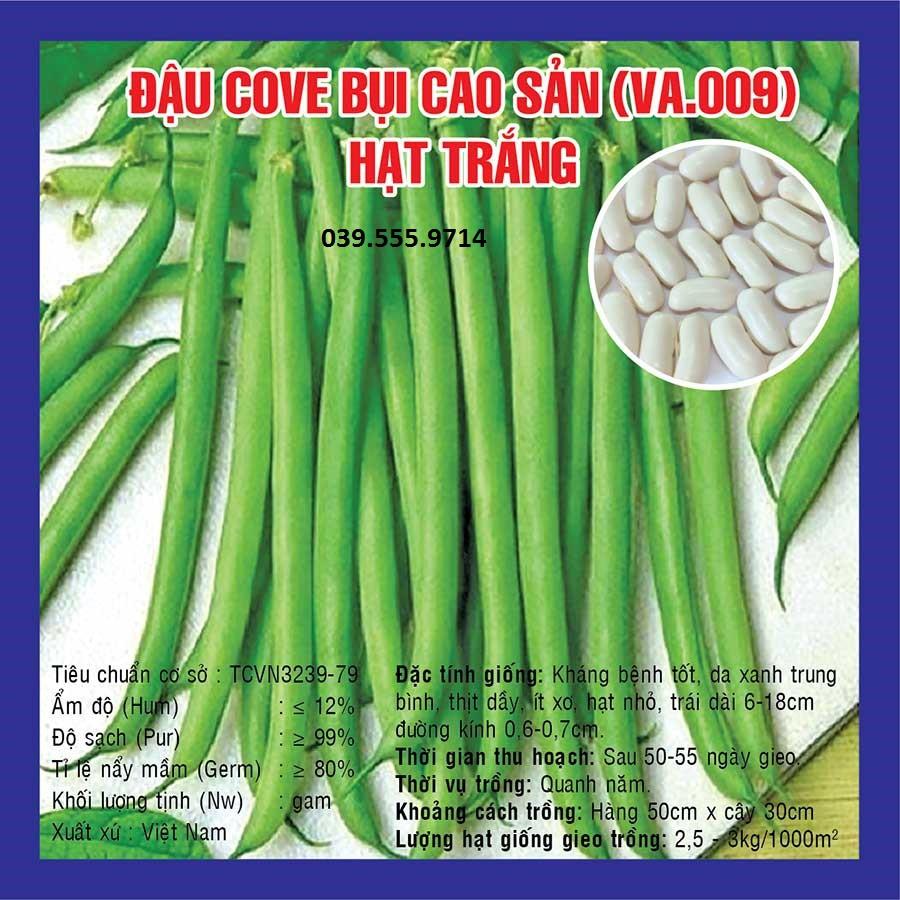 Hạt giống Đậu Cove Bụi Cao Sản hạt trắng – 50gram