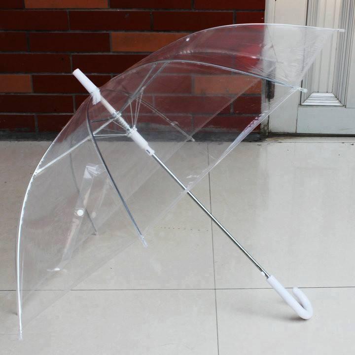 Ô Trong Suốt Hàn Quốc Che Mưa, Chụp ảnh Sống ảo